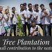 008_Tree Plantation